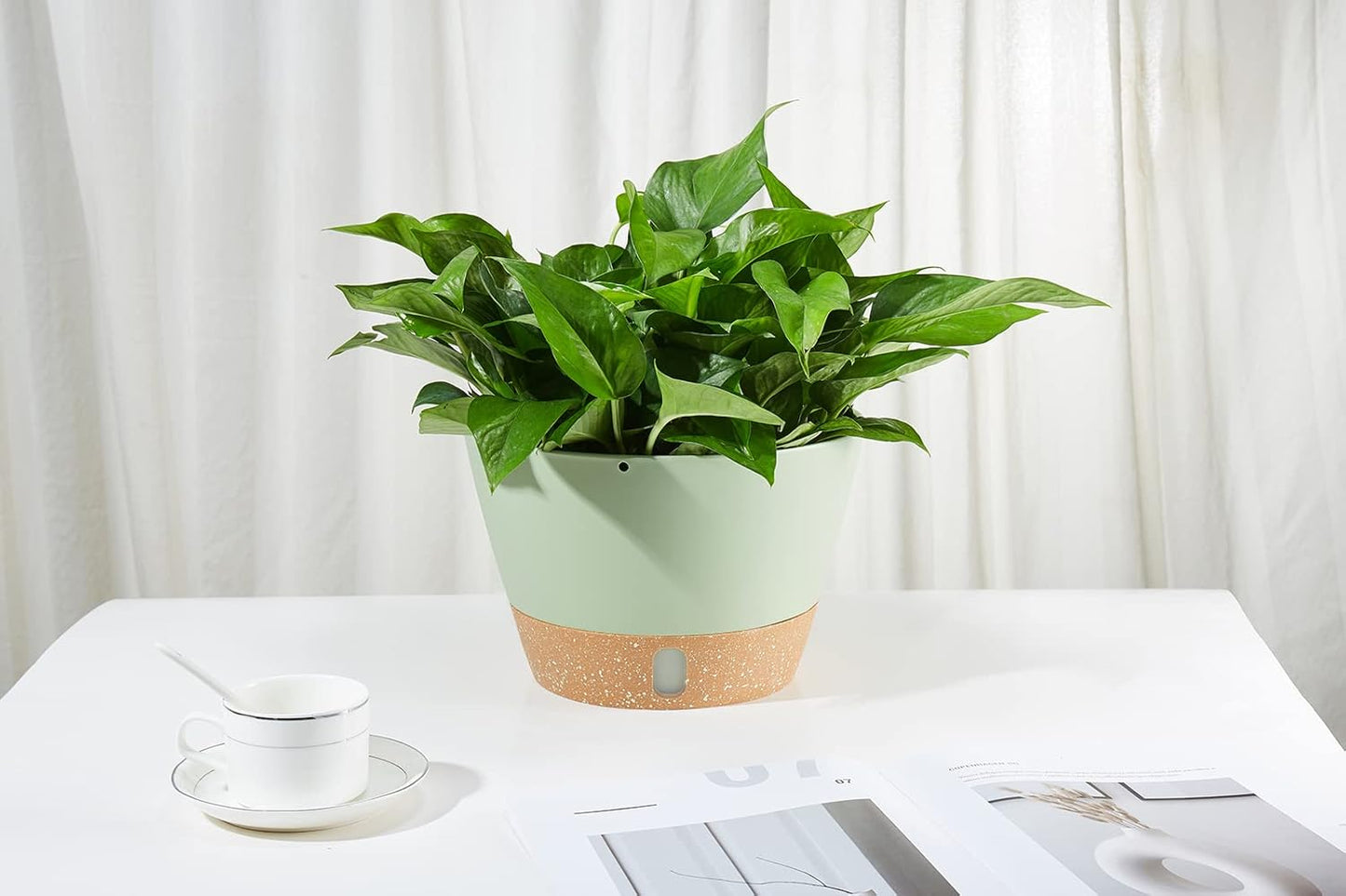 2 Pack Hanging Planters, 10 inch Indoor Outdoor Hanging Plant Pot Basket, Hanging Plastic Flower Pot with Drainage Hole with Removable Tray&Hooks for Hanging Plants,Green