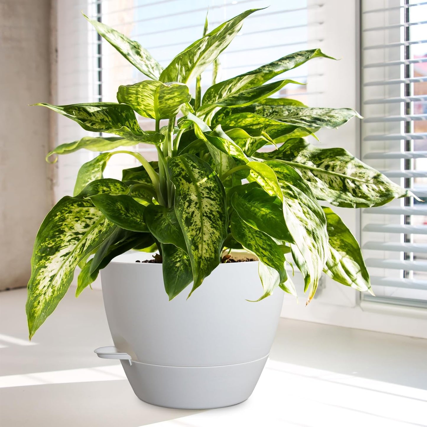 10/9/8 inch Medium Self Watering Pots, Plant Pots with Mesh Drainage Holes for Indoor Outdoor Garden Plants, Flower Pots with Removable Reservoir, Set of 3 Plastic Planters, White