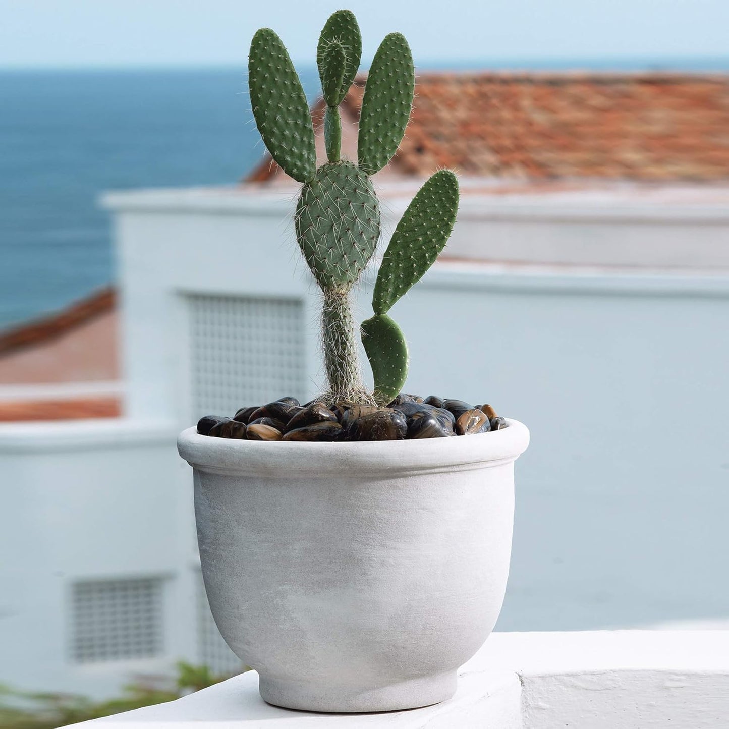 Crescent Garden Agave Planter, Charming Old-World Plant Pot, 14-Inch (Parchment)