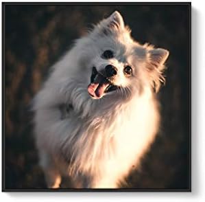 NWT Custom Framed Canvas Prints with Your Photo for Pets, Personalized Canvas Wall Art for Living Room, Bedroom - 24x24 inches