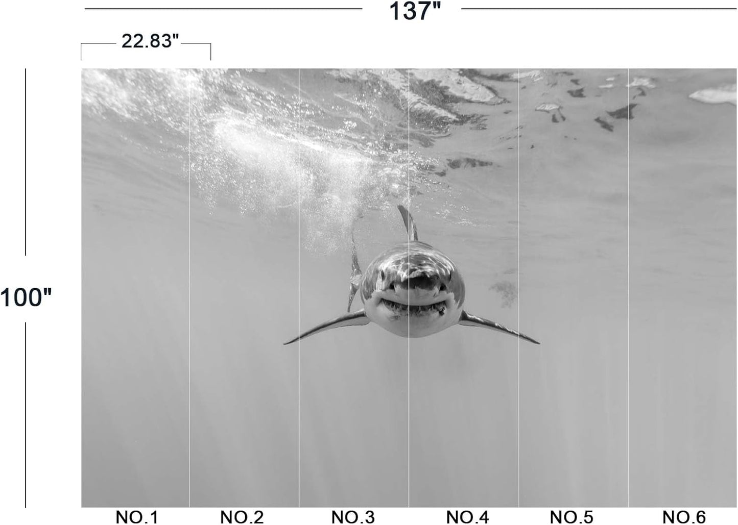 Shark Wall Mural Wallpaper for Bedroom 137" x 100"