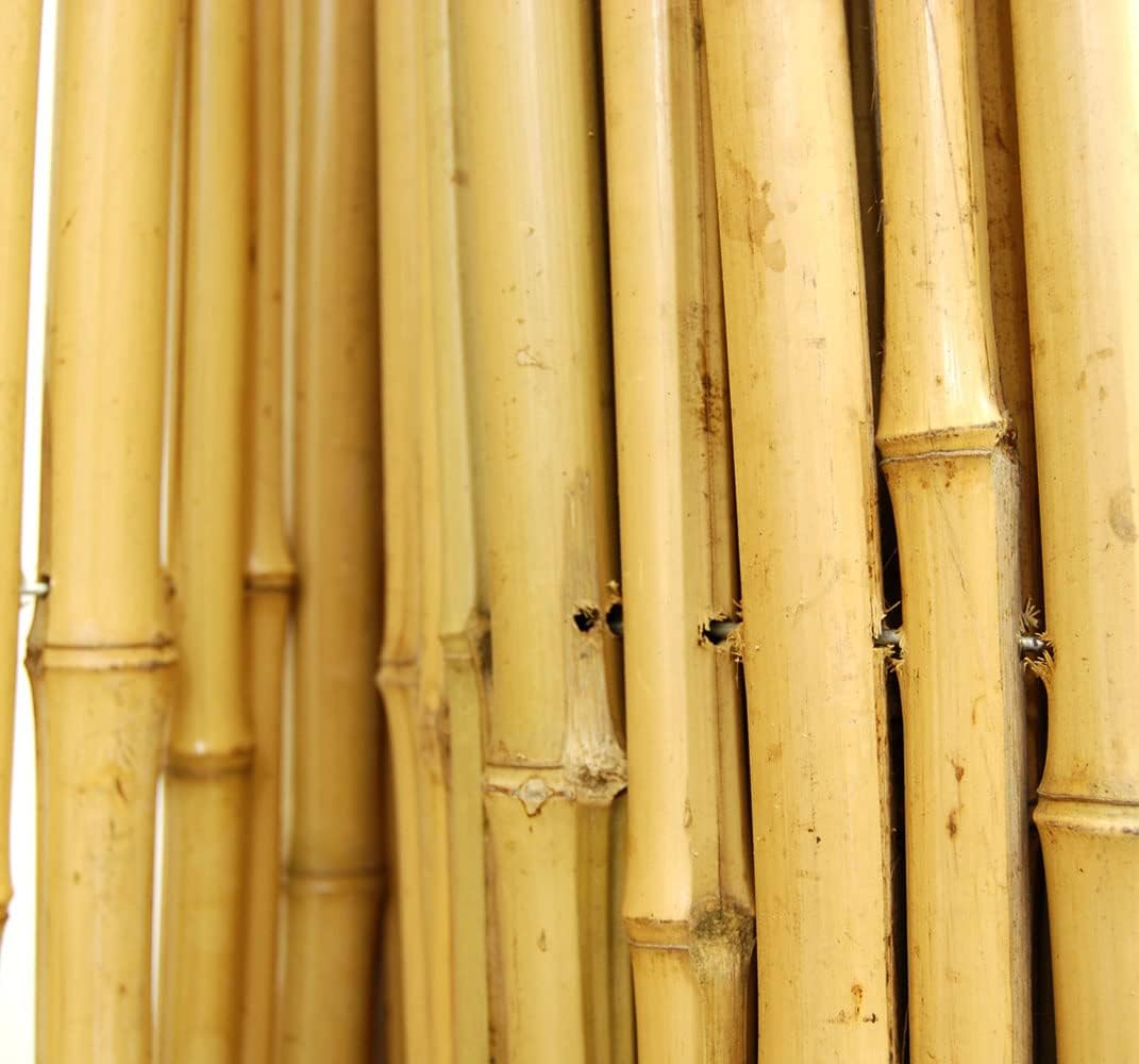 Backyard X-Scapes Natural Bamboo Fencing Decorative Rolled Fence Panel 0.75 in D x 6 ft H x 8 ft L