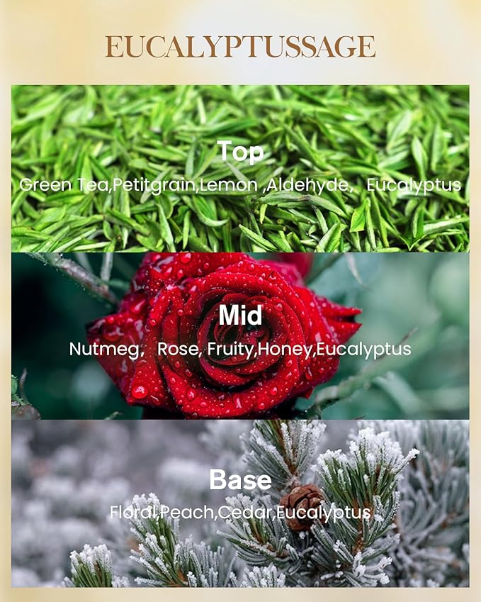 M&SENSE Eucalyptus Sage Scented Candle, 35oz 150H Long Lasting, 3-Wick Natural Soy Candles Aromatherapy Relaxing Sleep, Home Fragrance Housewarming Gifts