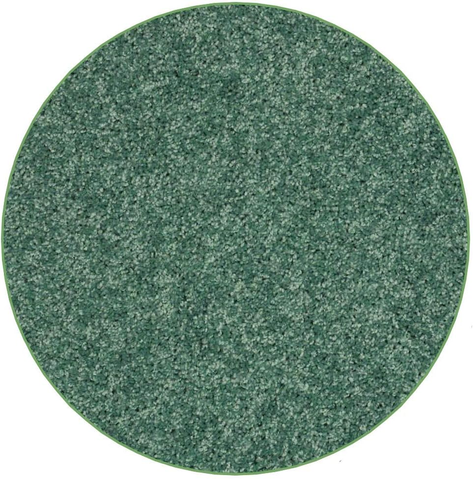 KOECKRITZ Soft and Colorful Kids Classroom Area Rugs (Passes Flammability Pill Test) Many Sizes and Bright Colors to Select from (10' Round, Froggy)