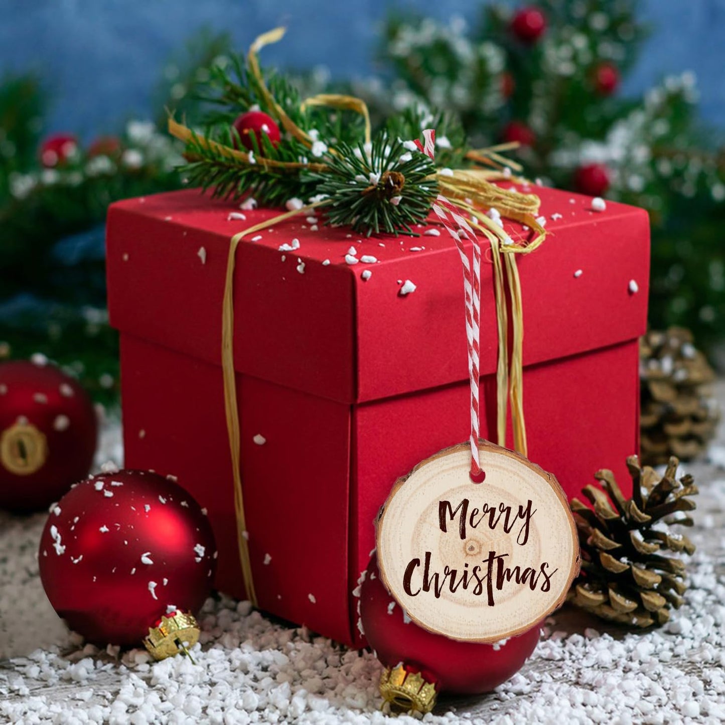 100 PCS 2.4-2.8 Inch Unfinished Wood Slices, Natural Wood Slices, Predrilled with Hole Wood Slice for DIY Arts Craft Christmas Ornaments