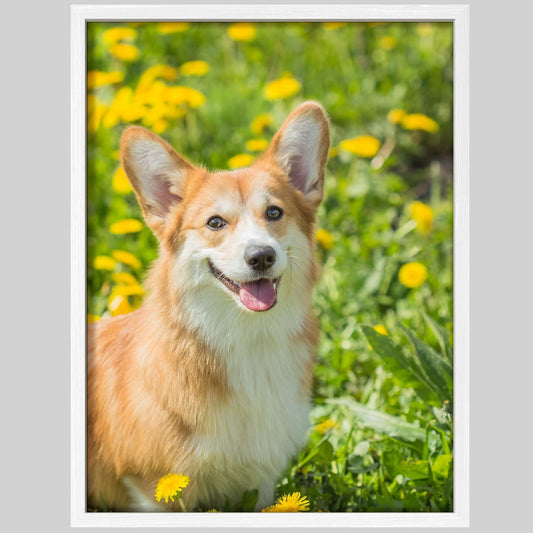 NWT Custom Framed Poster Prints with Your Any Photos, Personalized Canvas Pictures for Wall to Print Framed - 8"x10" White