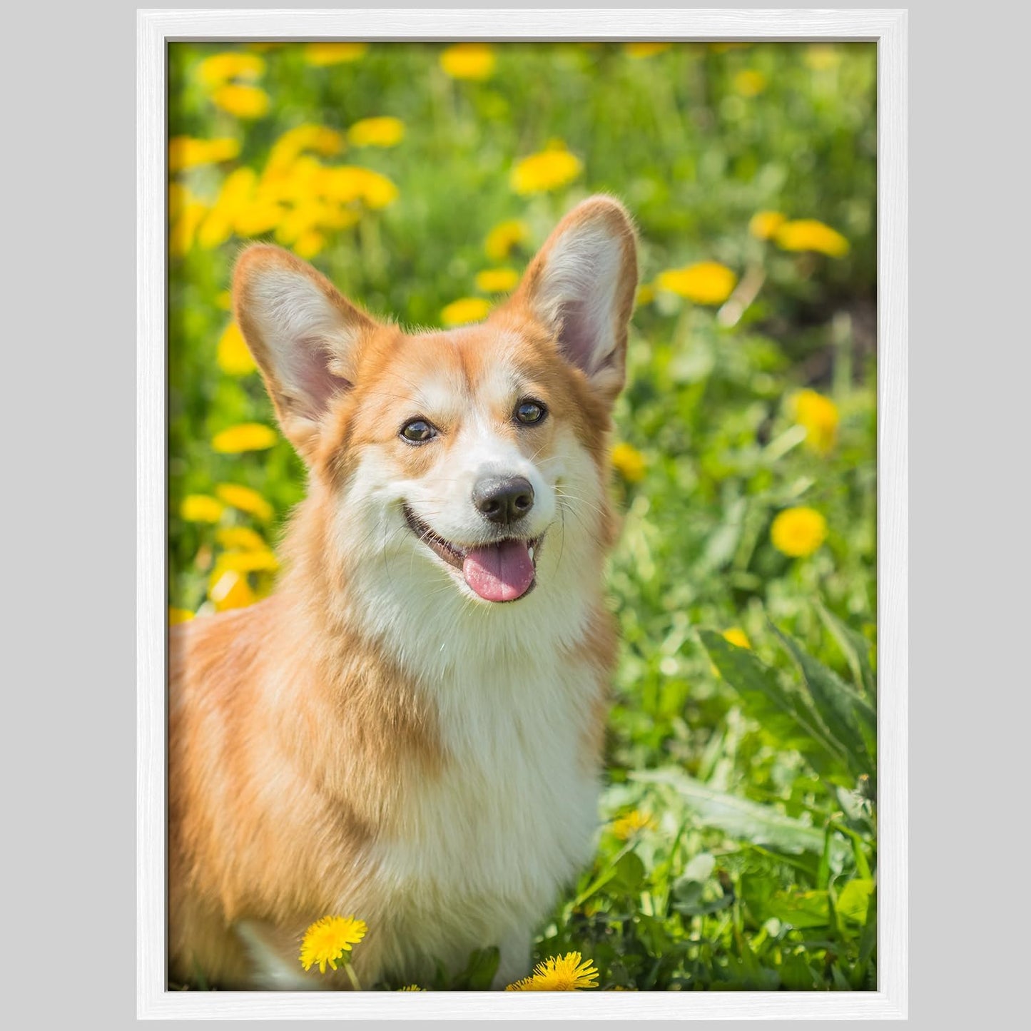 NWT Custom Framed Poster Prints with Your Any Photos, Personalized Canvas Pictures for Wall to Print Framed - 11"x14" White