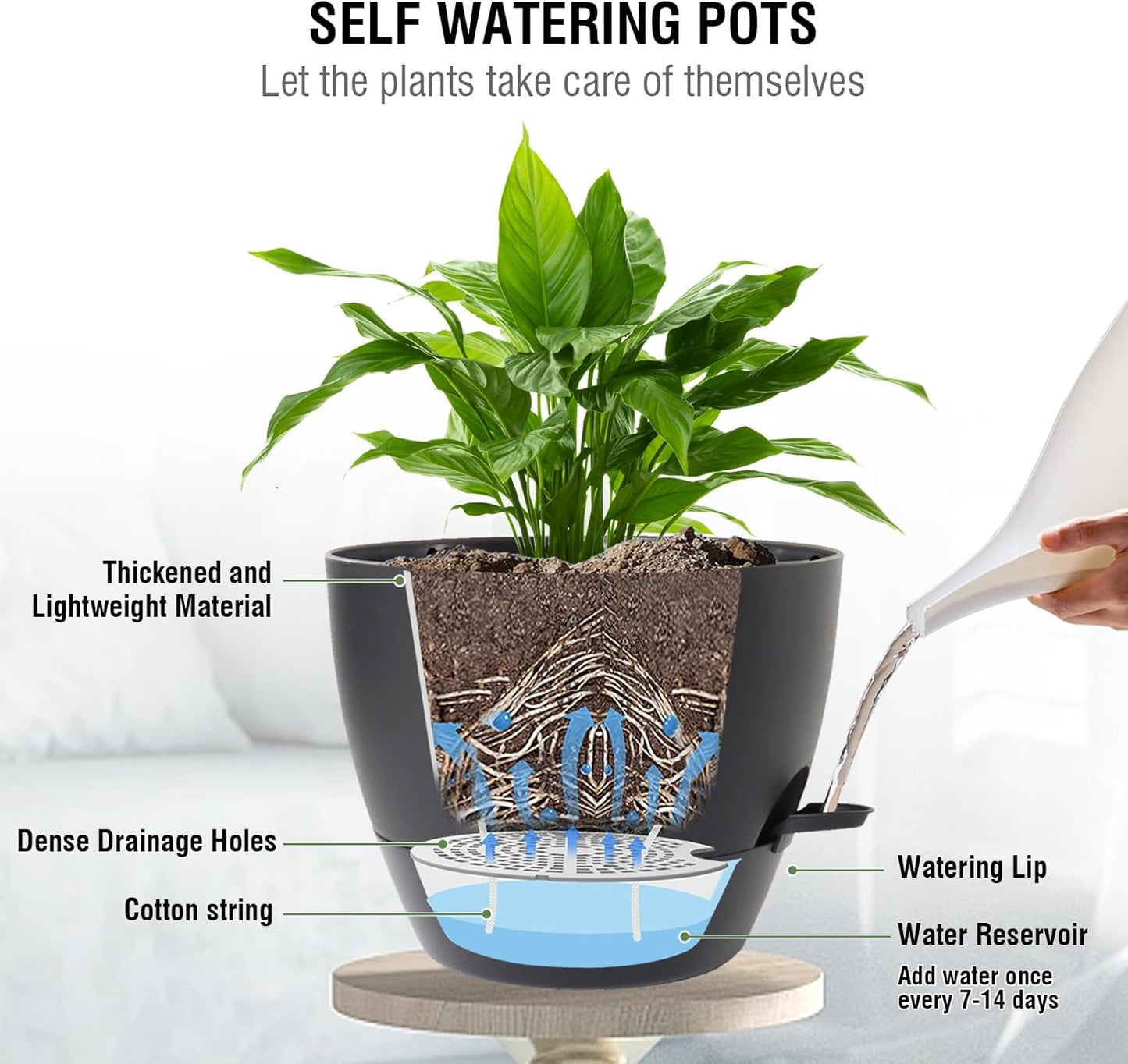 10 inch Self Watering Hanging Planters, 2 Pack Hanging Baskets for Indoor Outdoor Plants, Hanging Flower Pots with Drainage Holes & 2 Kinds of Plant Hangers for Garden Home Decor, Black