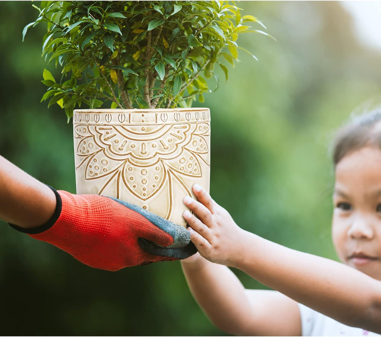 6 Inch Indoor Plant Pots with Drainage Holes and Saucers, Ceramic Planter for Plants, Flower Pot - Set of 2
