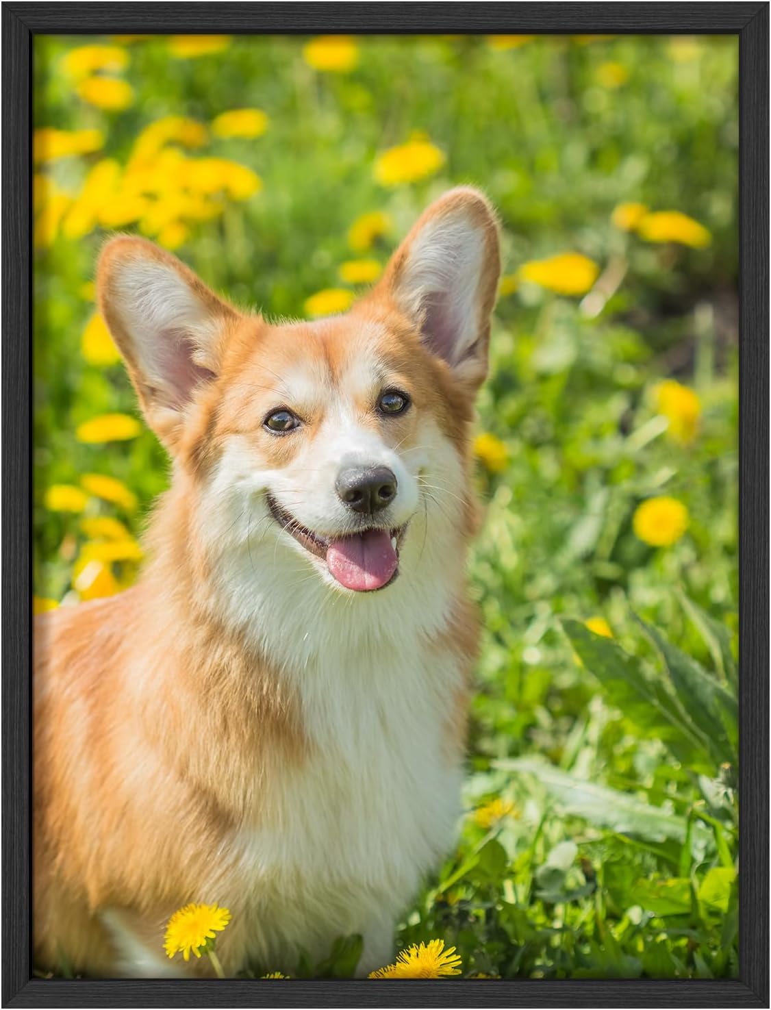 NWT Custom Framed Poster Prints with Your Any Photos, Personalized Canvas Pictures for Wall to Print Framed - 11"x14" Black