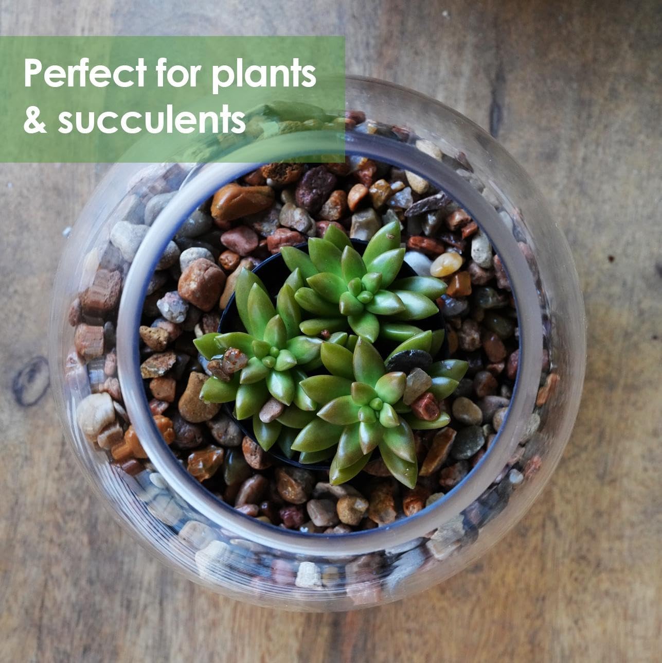 Craft And Party, Glass Bubble Bowl, 4.5" Height x 6" Width Glass Fish Bowl Vase, Bubble Bowl vase for Terrarium, Flower vase Centerpiece