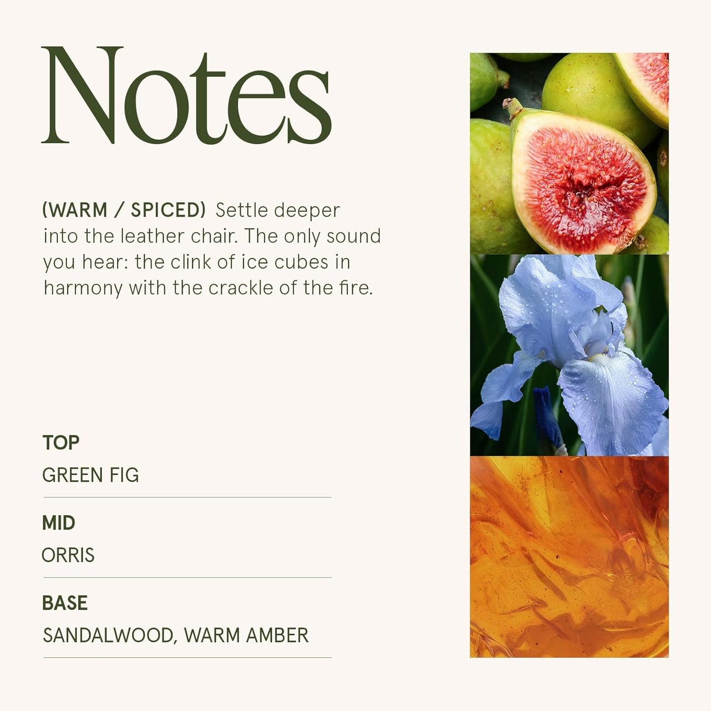 LA JOLIE MUSE Santal Himalayen Candle - Sandalwood, Fig & Amber |19 oz Large Wooden Wick Candle | Natural Soy Wax | 90 Hours Clean Burn | Gift-Ready for Hosts & Gatherings | Elegant Home Décor