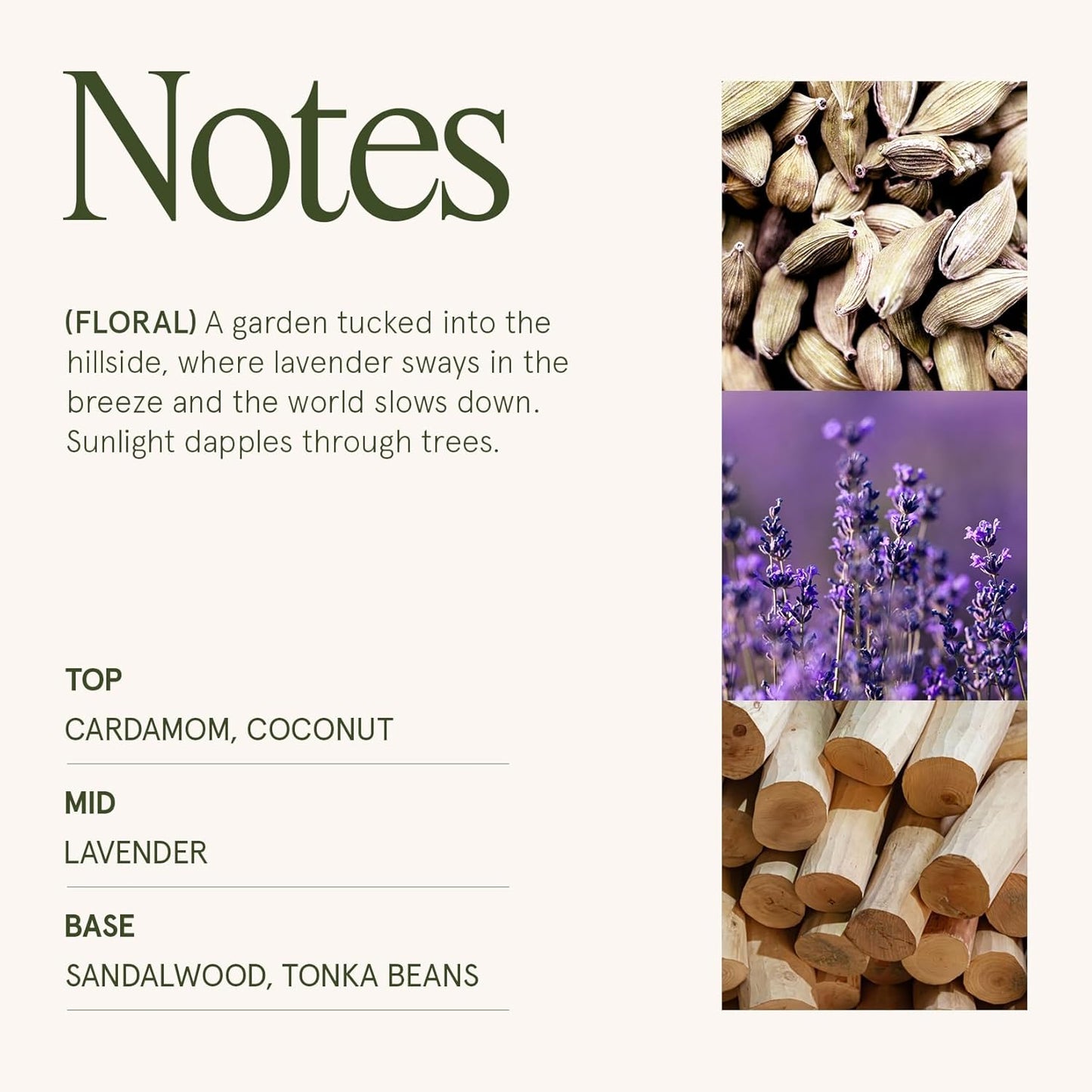 LA JOLIE MUSE Jardin de Lavender Scented Candle - Coconut, Lavender & Sandalwood | 6 oz Natural Soy Wax | 40 Hours Clean Burn | Aromatherapy Candle for Relaxation | Elegant Home Decor