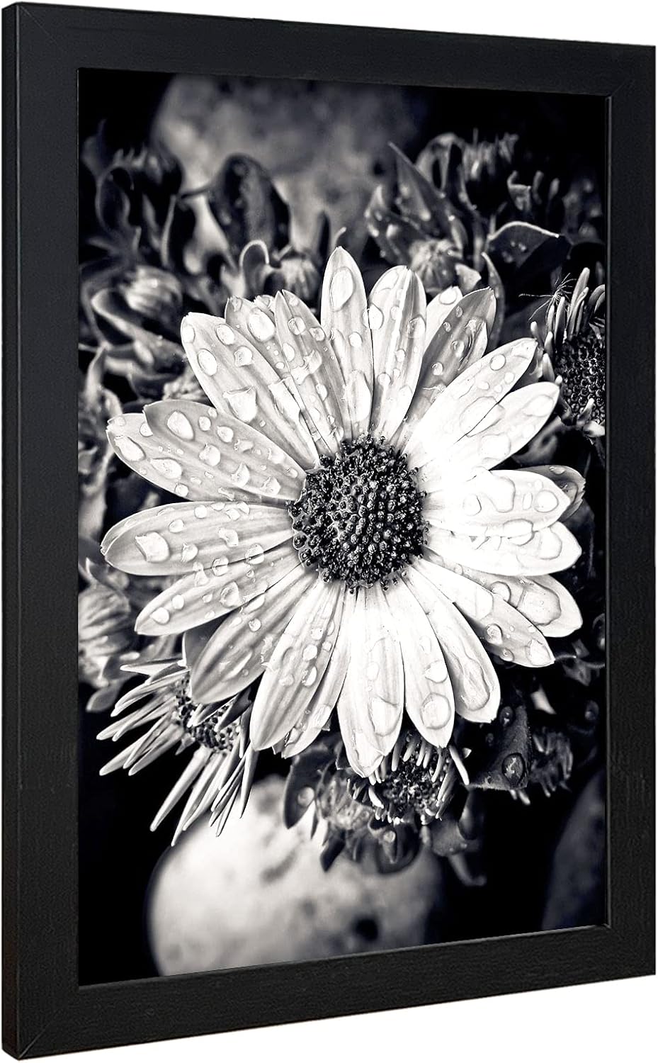 VCK Poster Frame 11x17 Set of 3, Wood Black Picture Frame, Wall Gallery Photo Frames, 3 Pack