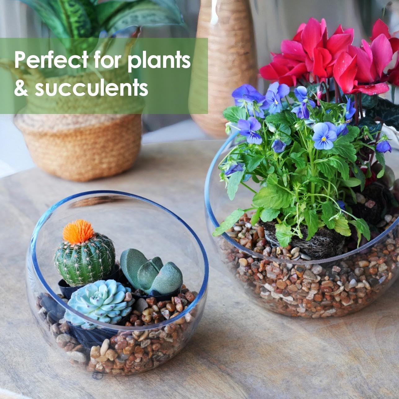 Craft And Party, Slant Cut Bowl Glass, Glass Fish Bowl Vase, 6" Height x 7" Width Fruit Jar, Candy Dish, Clear Terraium, Flower Centerpiece