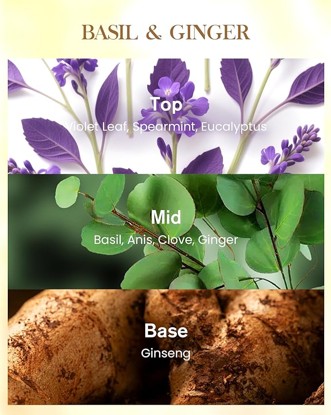 M&SENSE Basil Ginger Scented Candle 35oz 150H Burn Time Long Lasting, 3-Wick Natural Aromatherapy Candle Highly Scented, Home Fragrance Housewarming Gifts