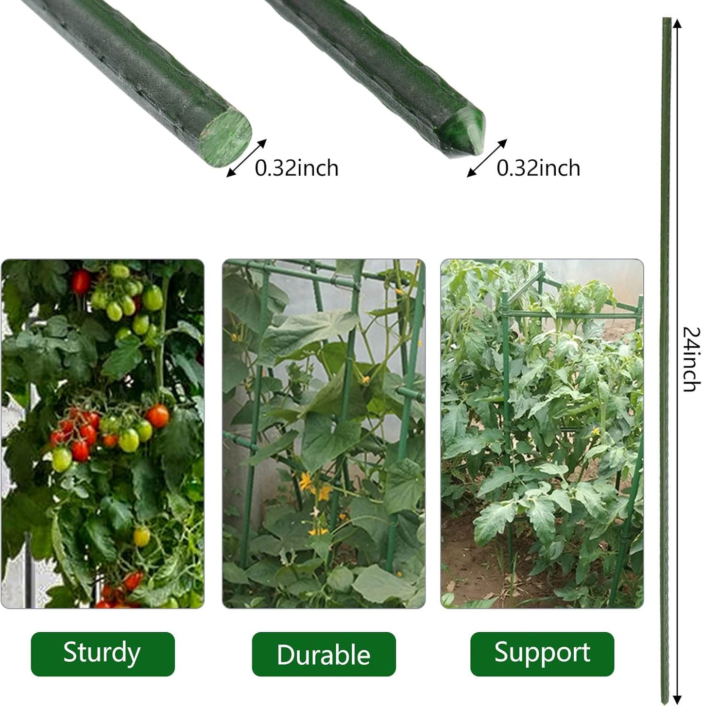Garden Plant Stakes 24 Inch 2Ft Steel Plant Stick Support, 25 Pack Tomato Stakes for Growing Climbing Plants