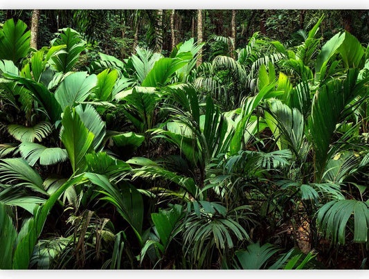 artgeist Wall Mural Nature 193x138 in - XXL Peel and Stick Self-Adhesive Wallpaper Removable Large Sticker Foil Wall Decor Print Picture Image Design Botanical Plants Jungle Leaves b-B-0594-a-a