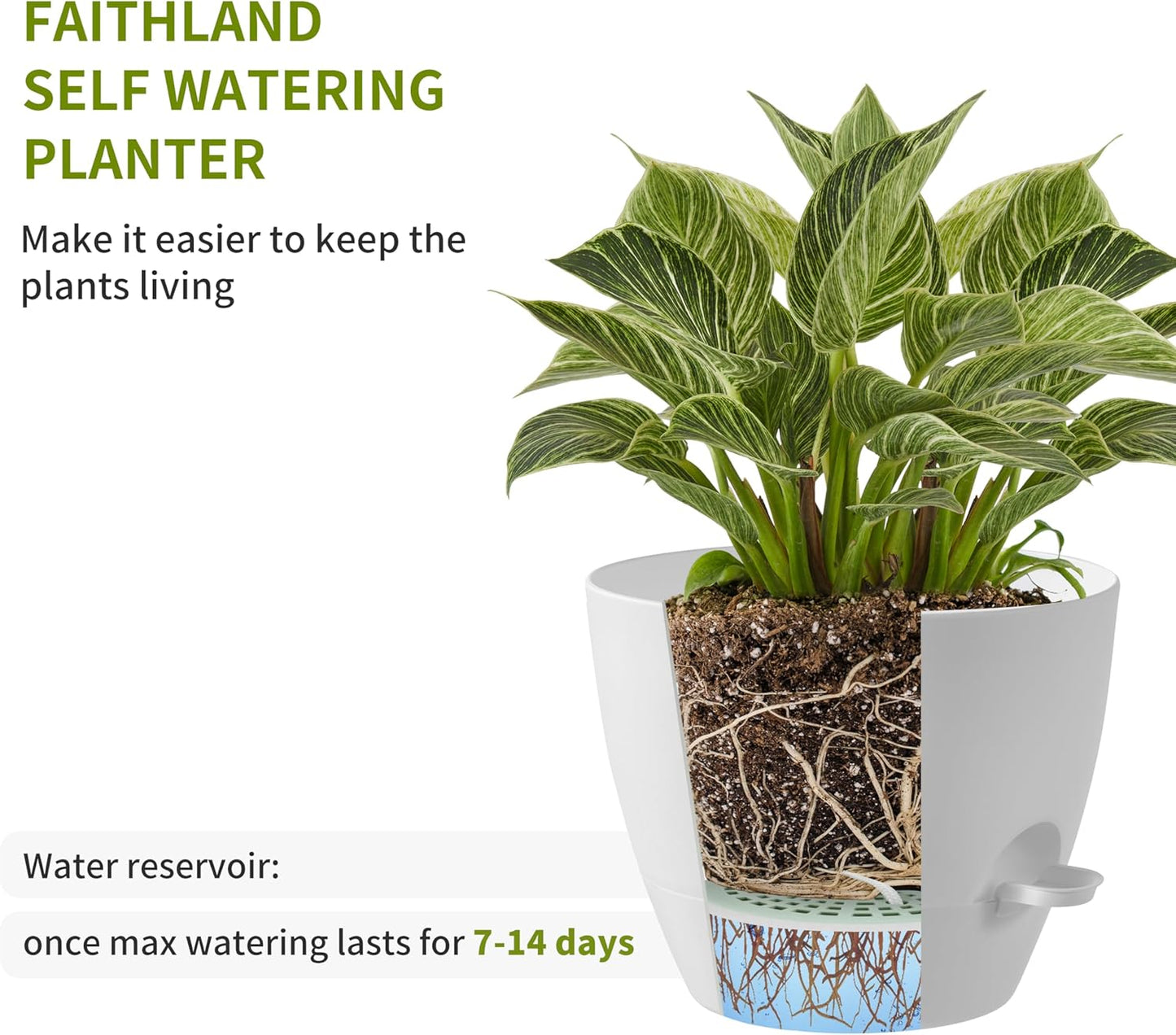 FaithLand 3-Pack Planter Pots, 10 9 8 Inch Self Watering Flower Pots for Indoor Outdoor Garden Plants, White with Brown