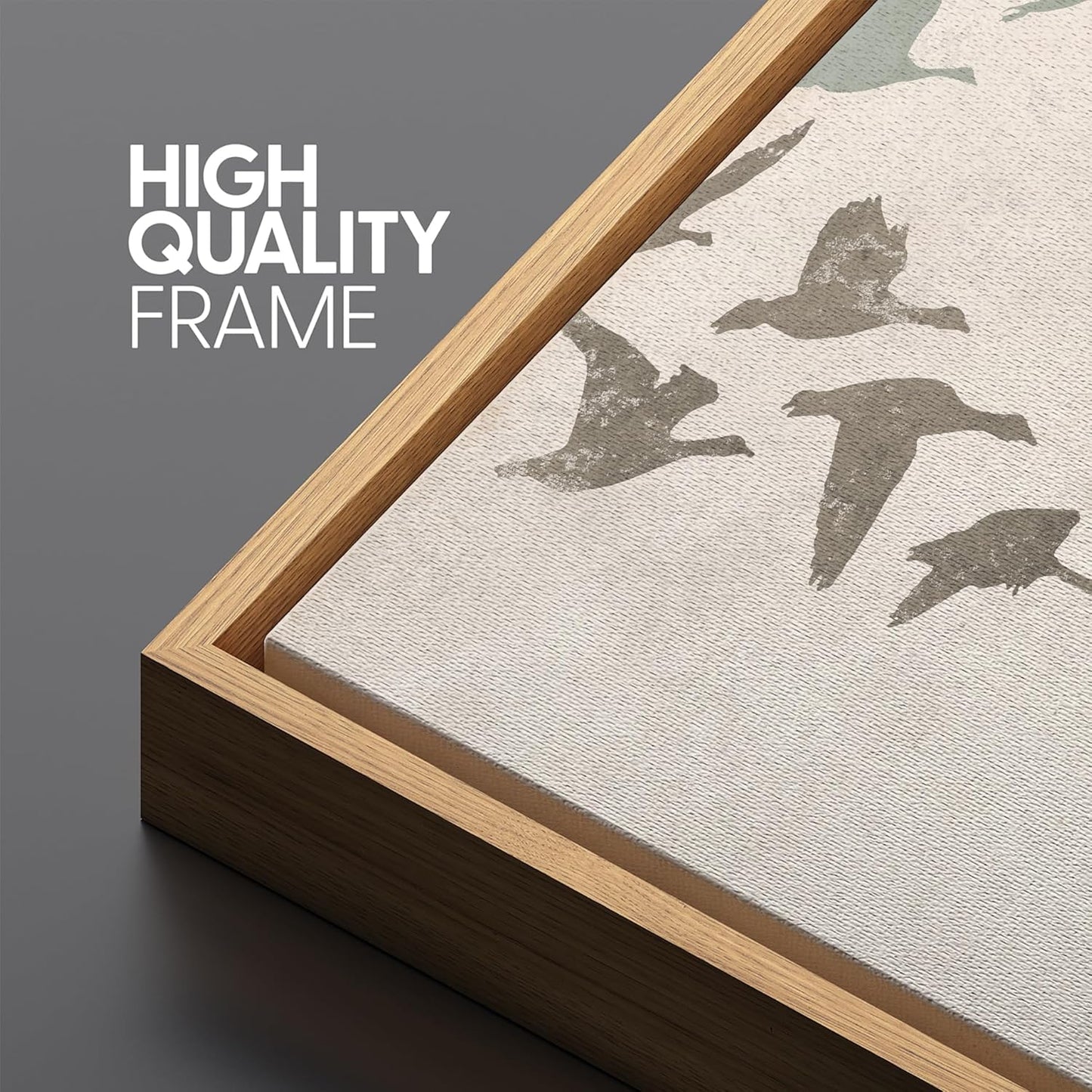 MUDECOR Large Framed Canvas Print Wall Art Wild Freedom Assorted Birds in Flight Antique Retro Fine Art Illustrations Decorative Colorful for Bedroom - 60"x20"