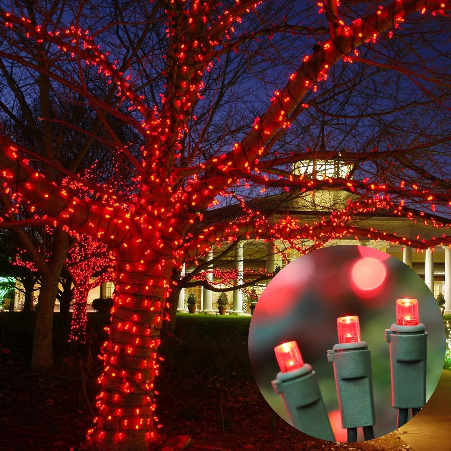 Red Wide Angle LED Christmas Lights, 64.8 Ft 300 Count, Pack of 3 Strands 21.9 Ft 100 Lights UL Certified Commercial Grade Green Wire 5mm Holiday String Light