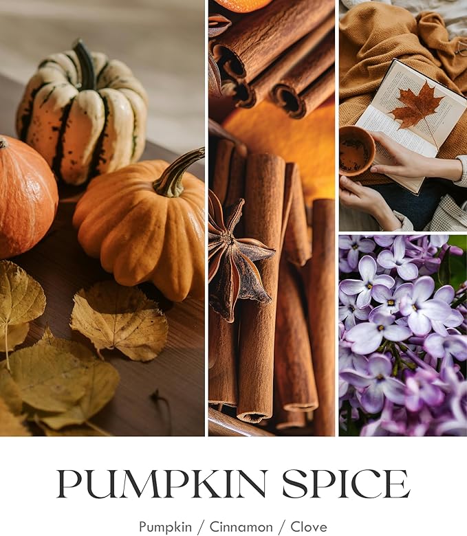 AOOVOO Pumpkin Spice Candles - 9 oz Scented Candles, Aromatherapy Candle, Soy Candle for Home Scented