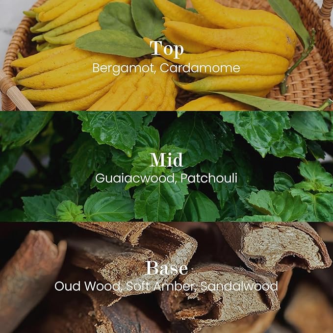 M&SENSE Natural Soy Candle| Oud Wood | 16.6 oz, 95H Burn | Minimalist Scented Candle for Relaxation, Gifting, Home Décor | for Bedroom, Office, Party Large