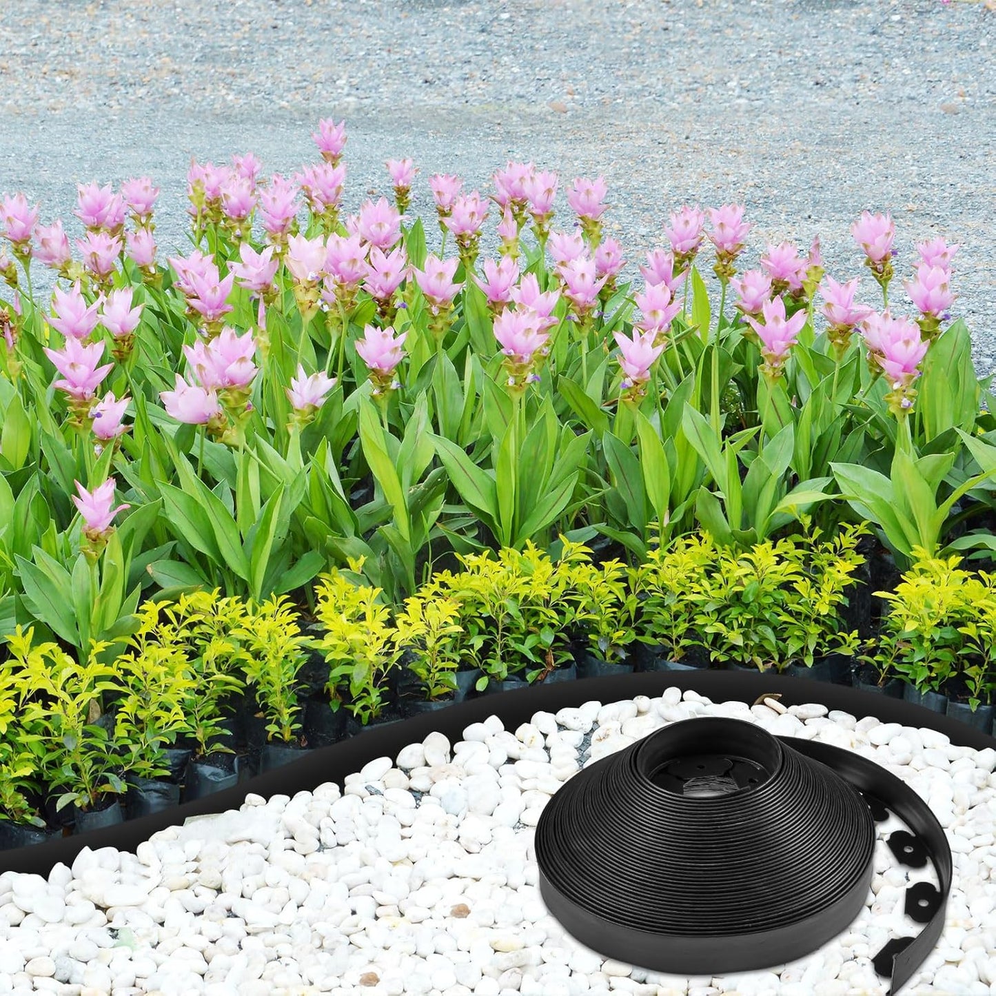 Sasylvia 2'' x 200' Landscape Edging Kit Edging Border Coil Include Anchoring Spikes 10 Connectors Plastic Garden Border for Lawn Garden Grass Yard Home(Black)