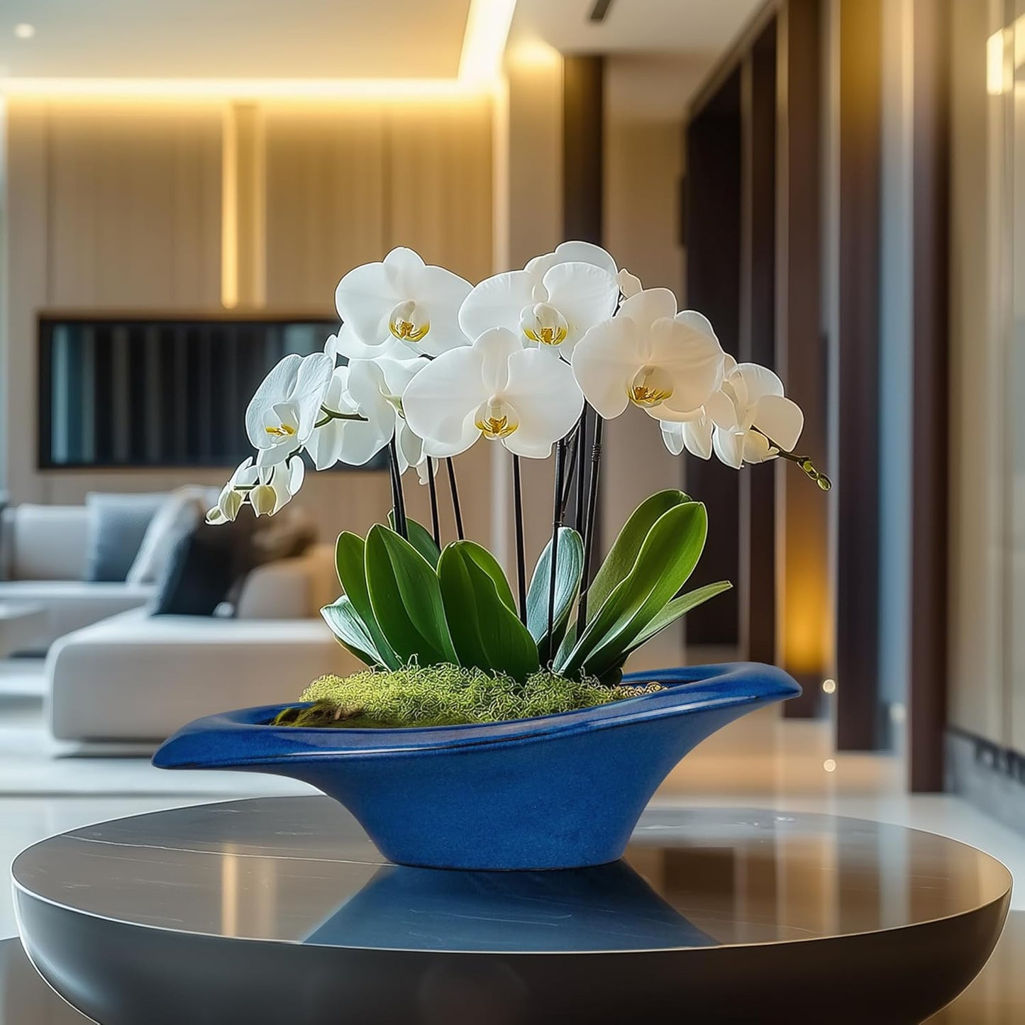 Bonsai Tree Pot 18 Inch - Ceramic Succulent Pots Large Bonsai Planter for Indoor Outdoor Plants Decorative Plant Pot with Drainage Hole Flower Pot for Home Garden Room Decor Blue