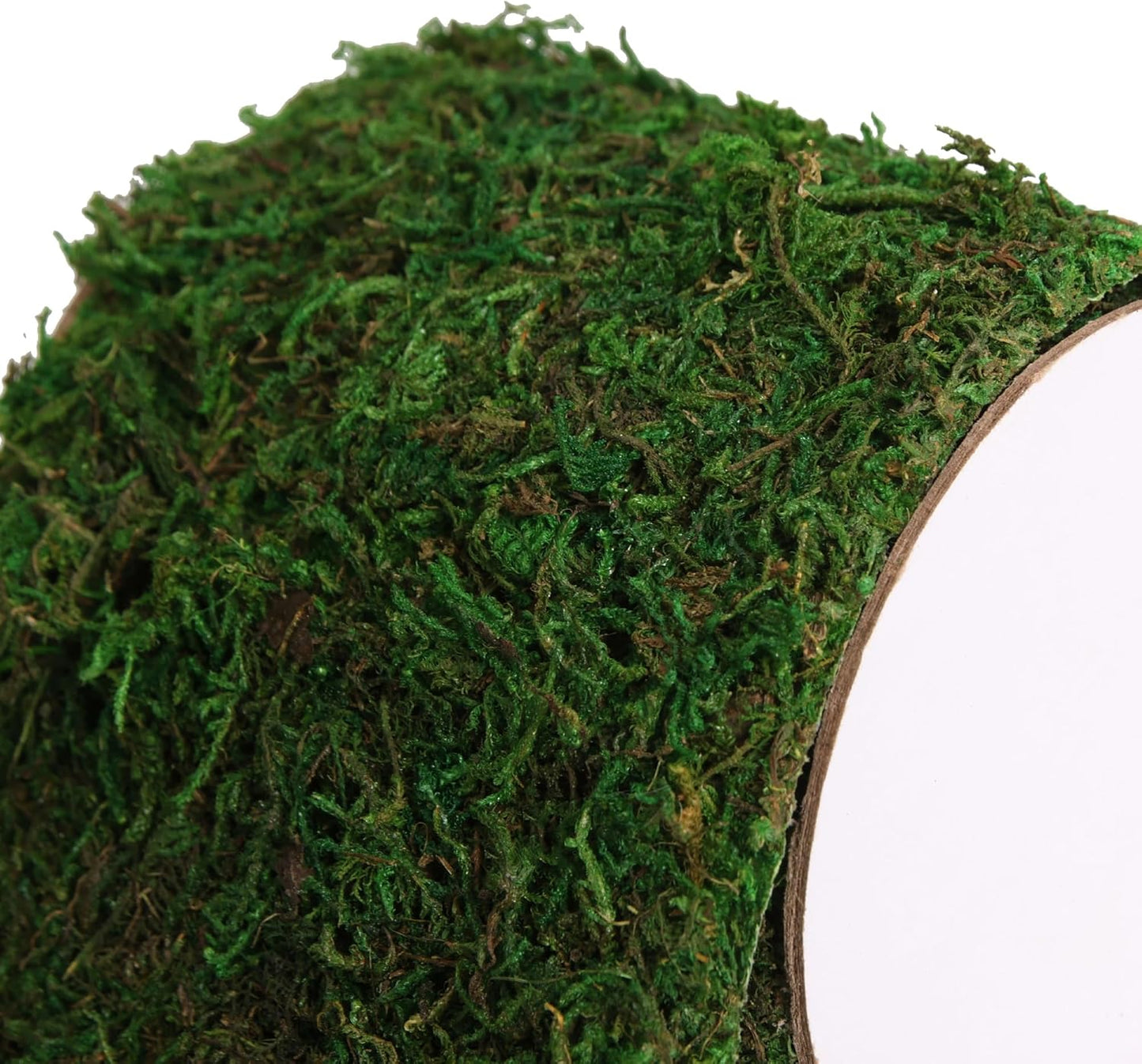 Moss Roll, Dried Moss for Crafts, Moss Table Runner for Fairy Gardens, Wedding Woodland Decor, Preserved Moss Mat for Table Decoration (4" W x 48" L)