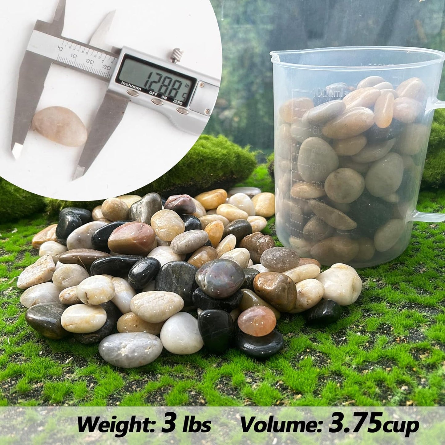 CJGQ Pebbles for Plants 3 lb Natural Garden Decorative Stone Outdoor Aquariums Gravel 1-1.5 Inches