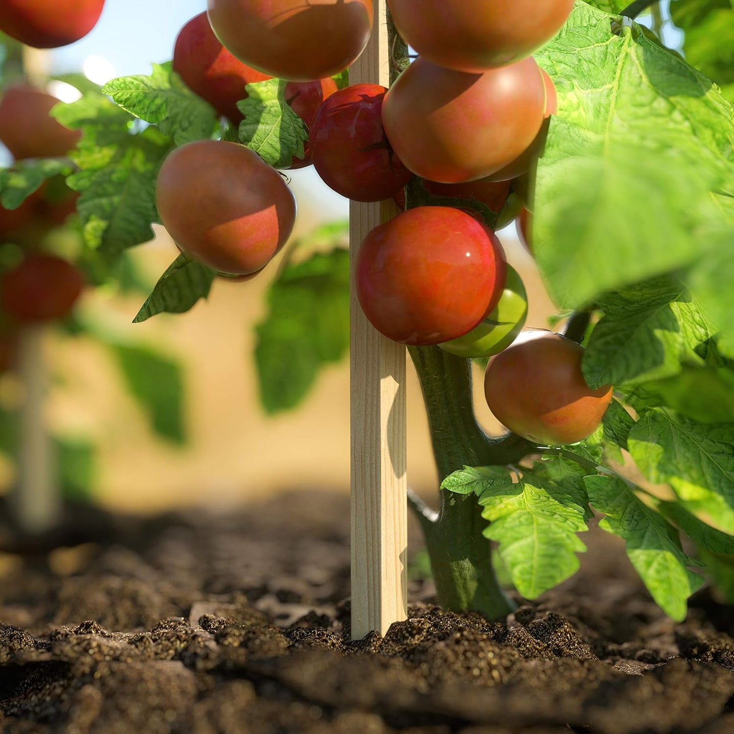 Greenes Fence 4 Ft. Garden Stakes (50 Pack)