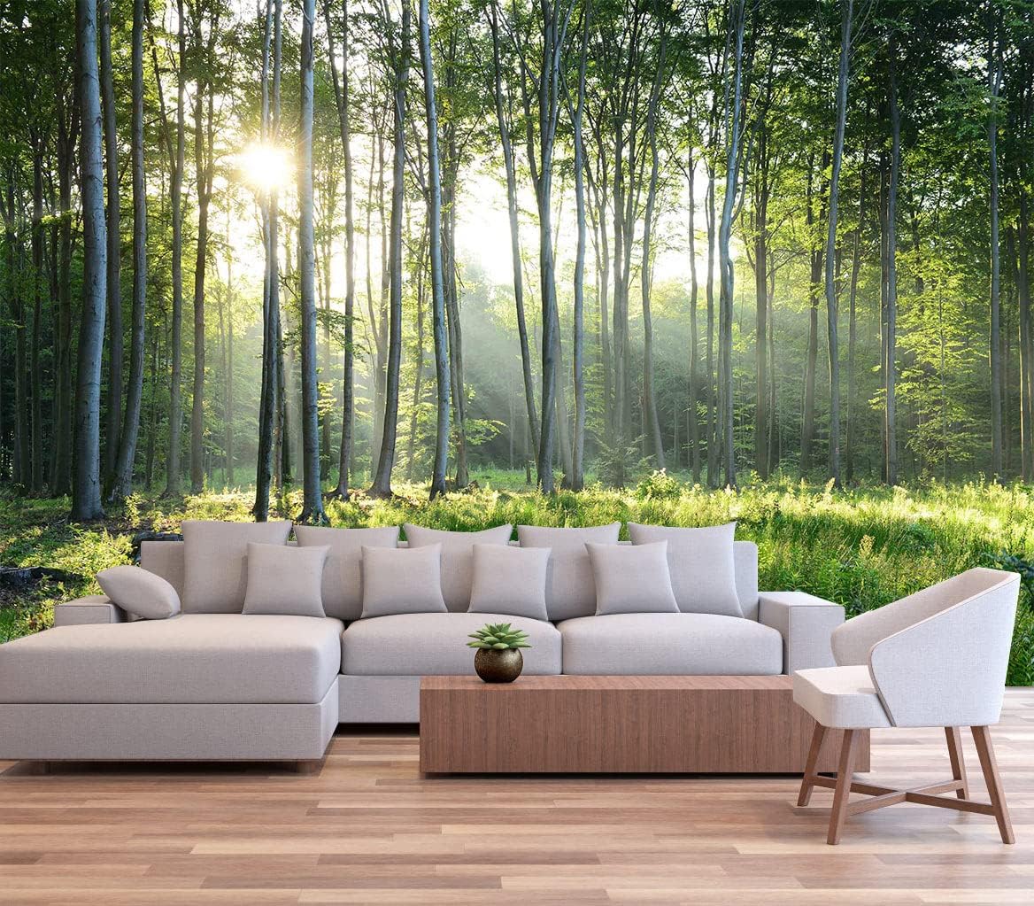 Sunshine Forest Mural Wallpaper Landscape Tree Wallpaper Large Nature Scenery Wall Mural for Living Room (not self-Adhesive)