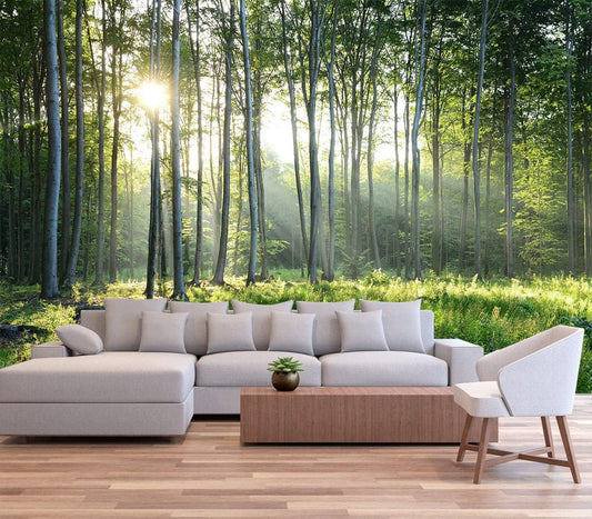 Sunshine Forest Mural Wallpaper Landscape Tree Wallpaper Large Nature Scenery Wall Mural for Living Room (not self-Adhesive)