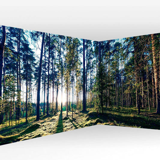artgeist Wall Mural Forest 216x98 in - XXL Non-Woven Corner Wallpaper Fleece Angle Wall Decor Photo Print Picture Forest Trees Sunrise c-B-10185-a-a
