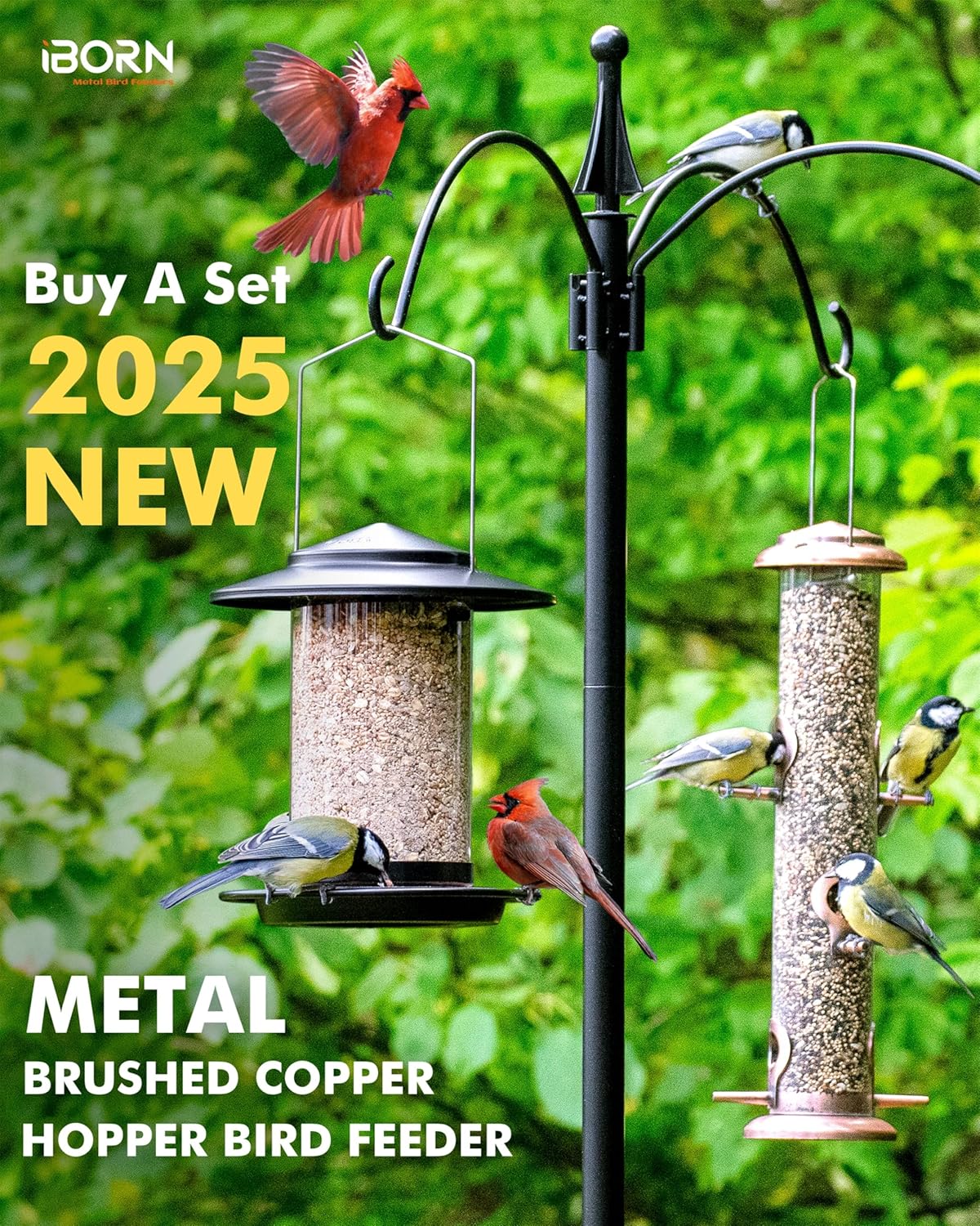 iBorn Metal Bird Feeders for Outdoors Hanging,Wild Bird Feeders for Cardinal,18cm Large Roof&Tray Black 6 Port (Seed is not Included)